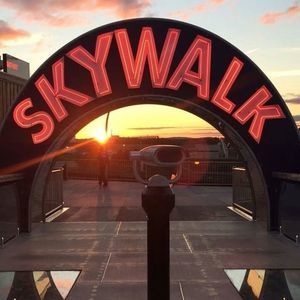 Meet your Posher, Kylie